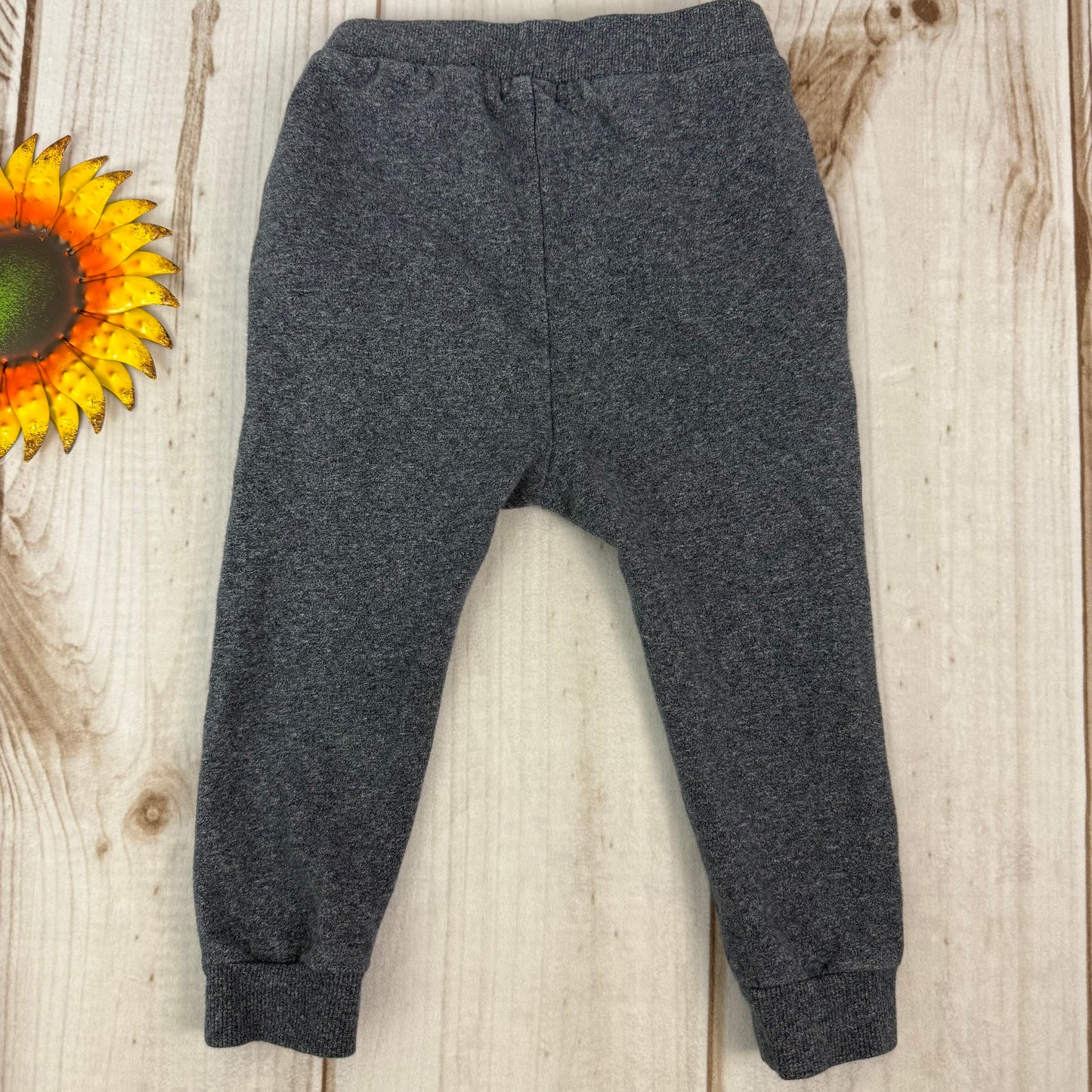 miles the label joggers 24M