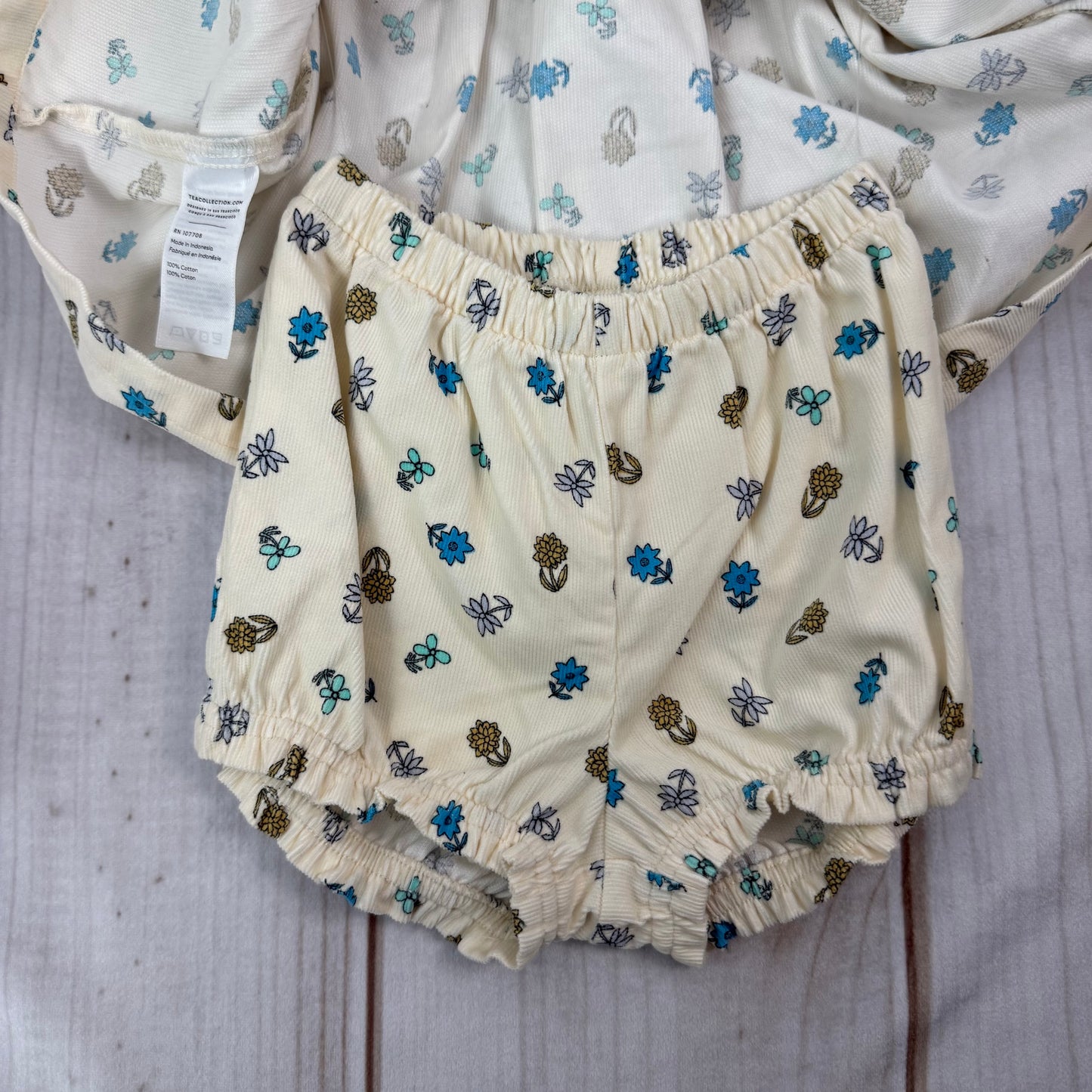 tea collection corduroy dress set 6-9 months