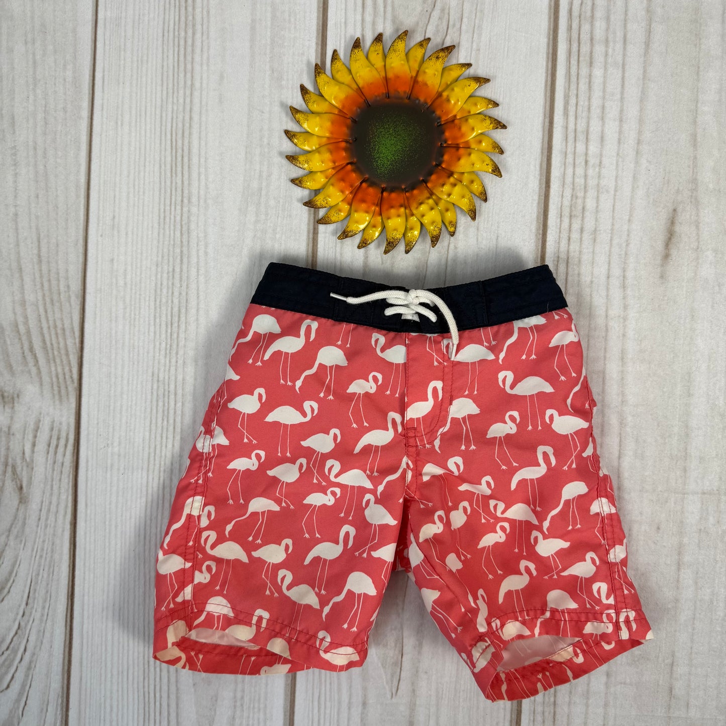 janie and jack swim trunks 2T