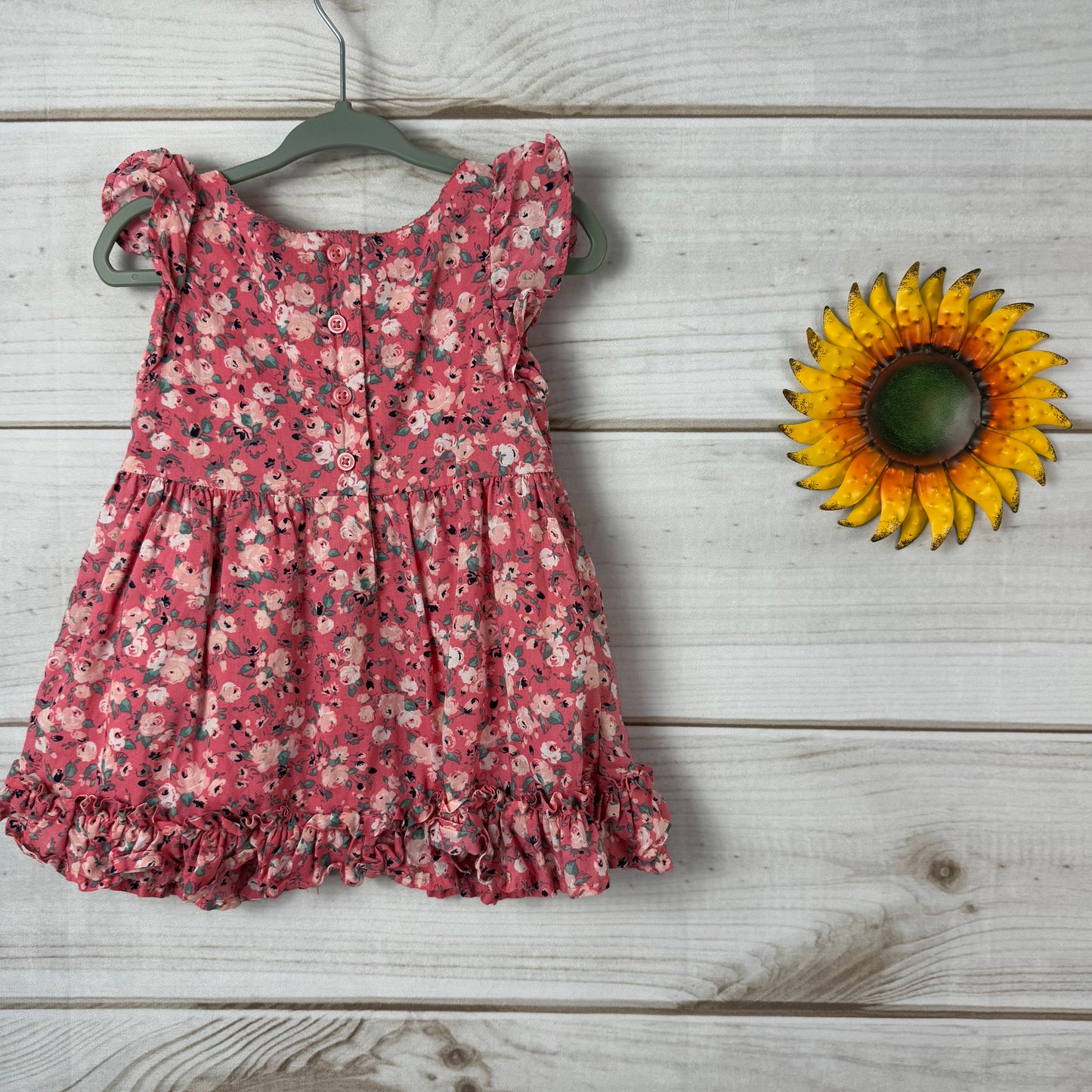 janie and jack floral dress 6-12M