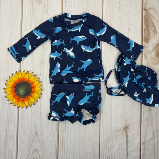 hanna andersson swim set 3-6M