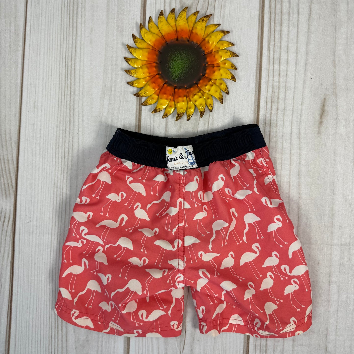 janie and jack swim trunks 2T