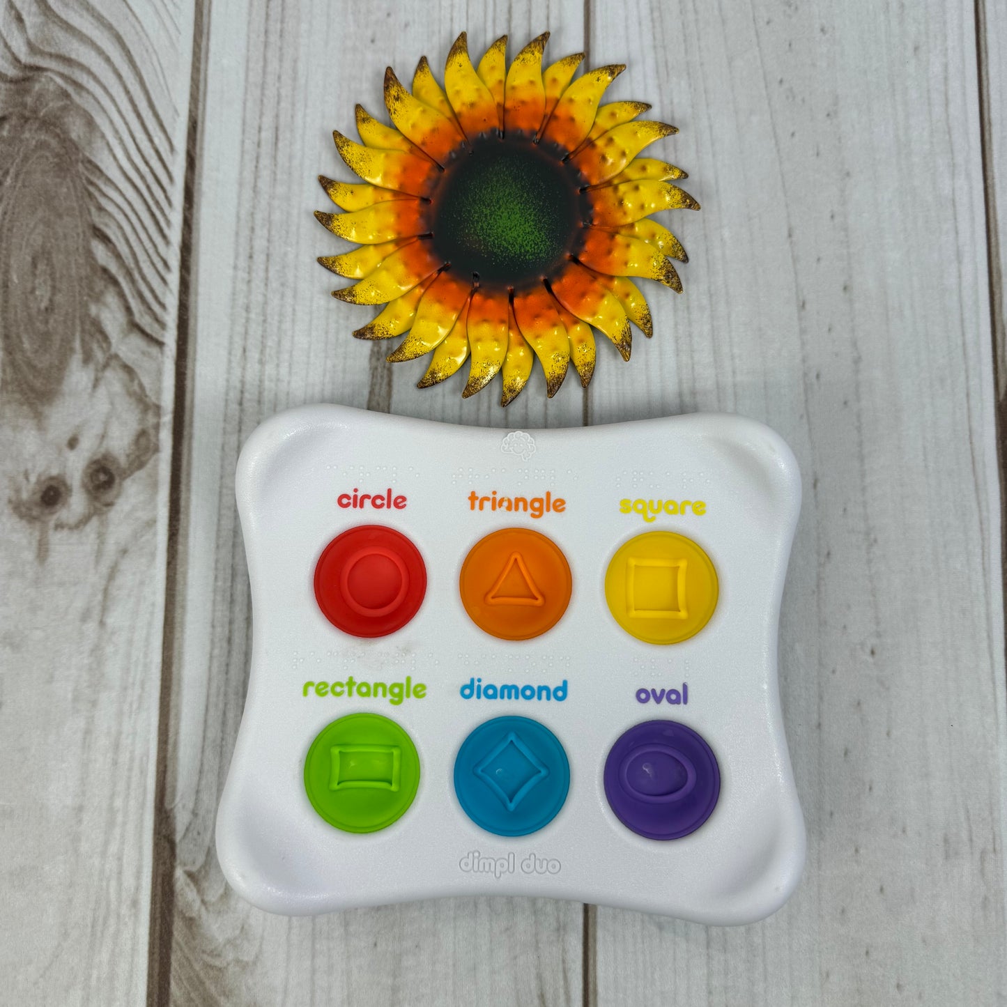 fat brain toys dimple duo