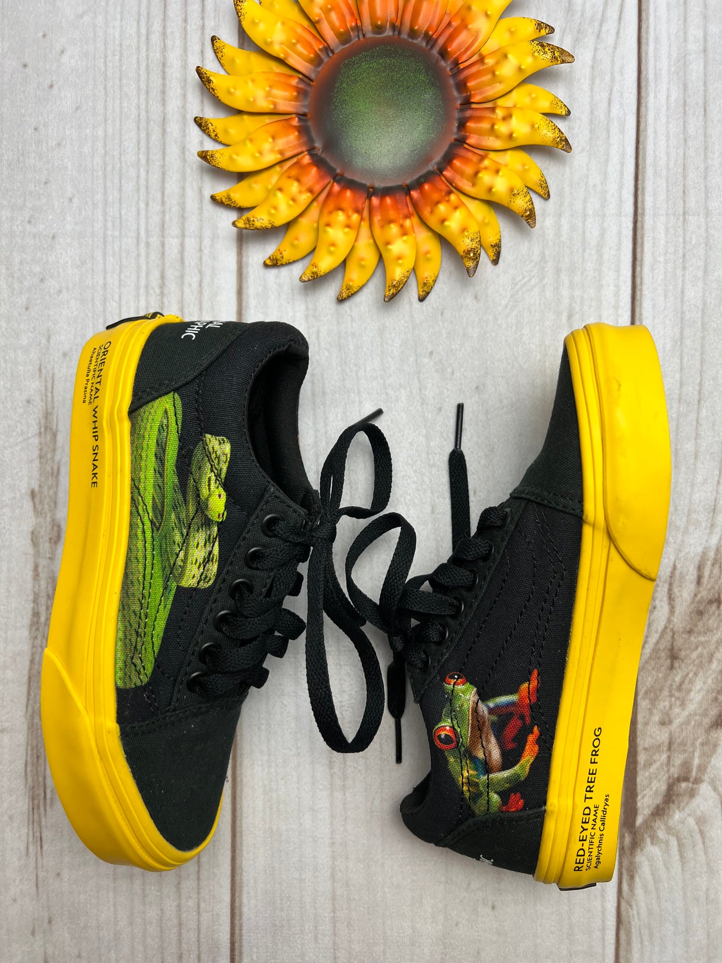 vans x national geographic shoes 13C