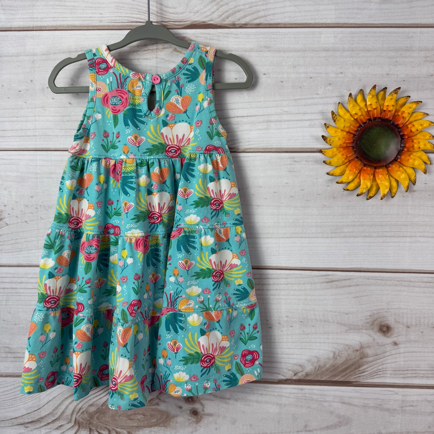 ruffle butts dress 18-24M