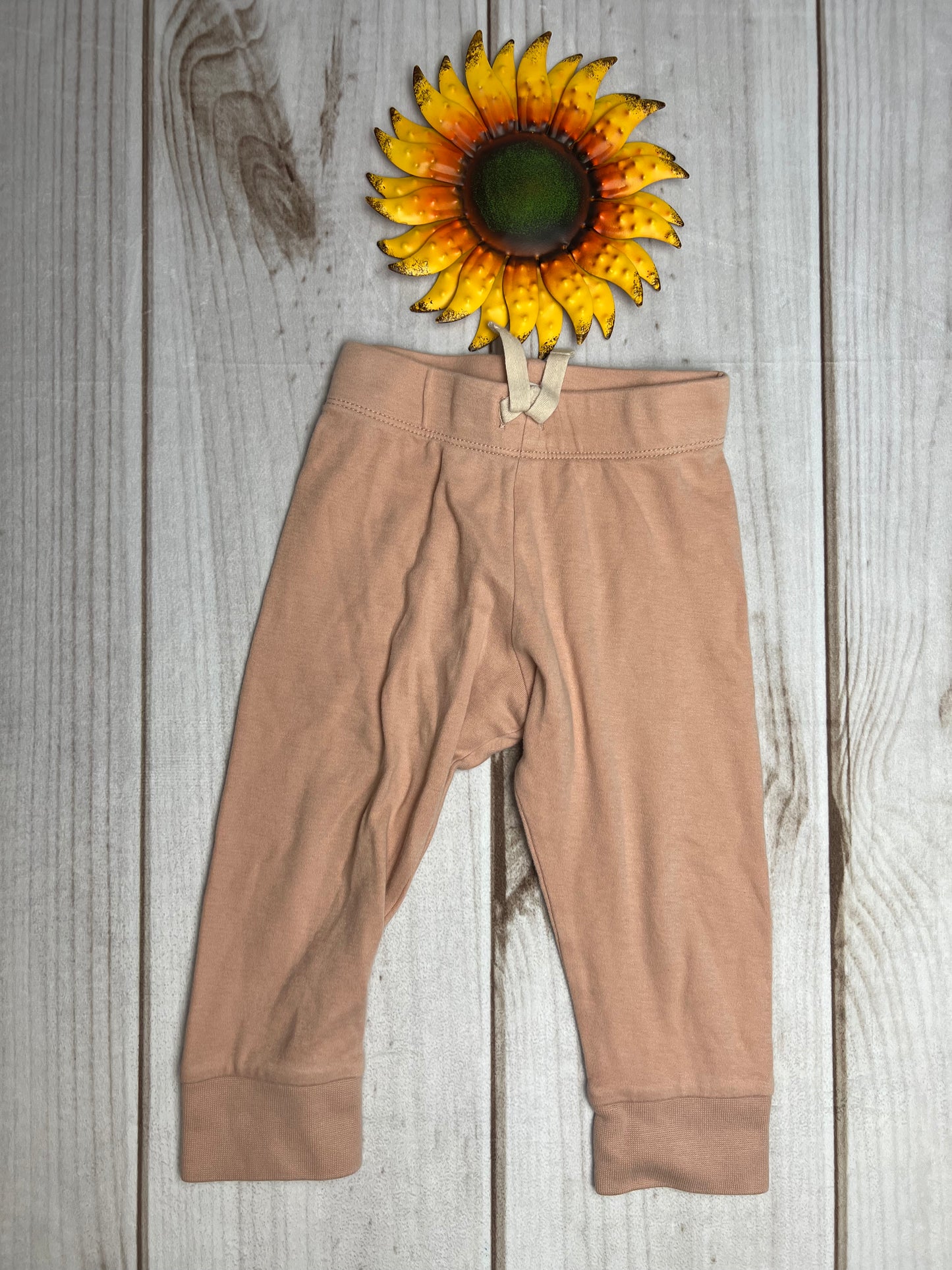 colored organics classic cruz jogger 12-18M