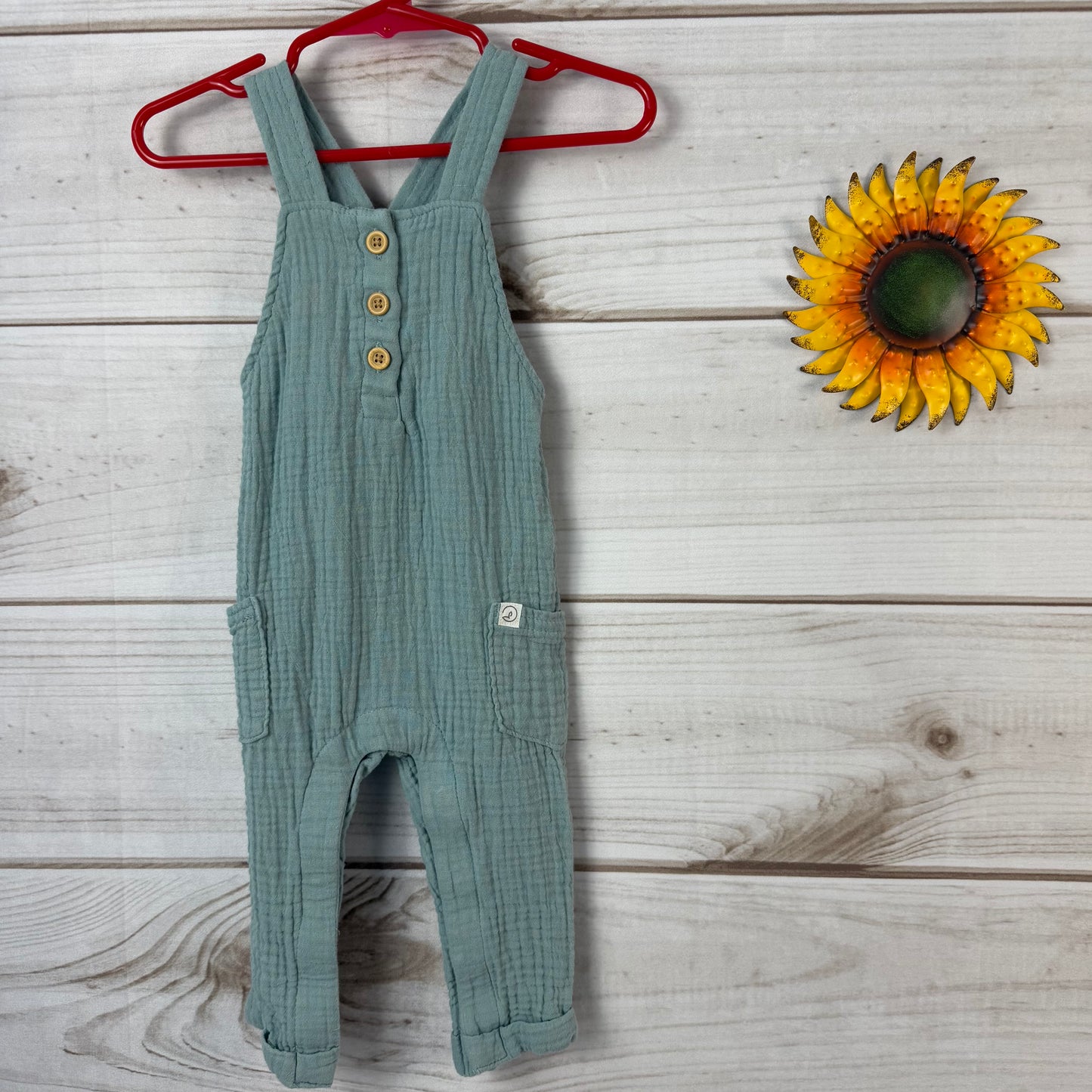 little planet overalls 9M