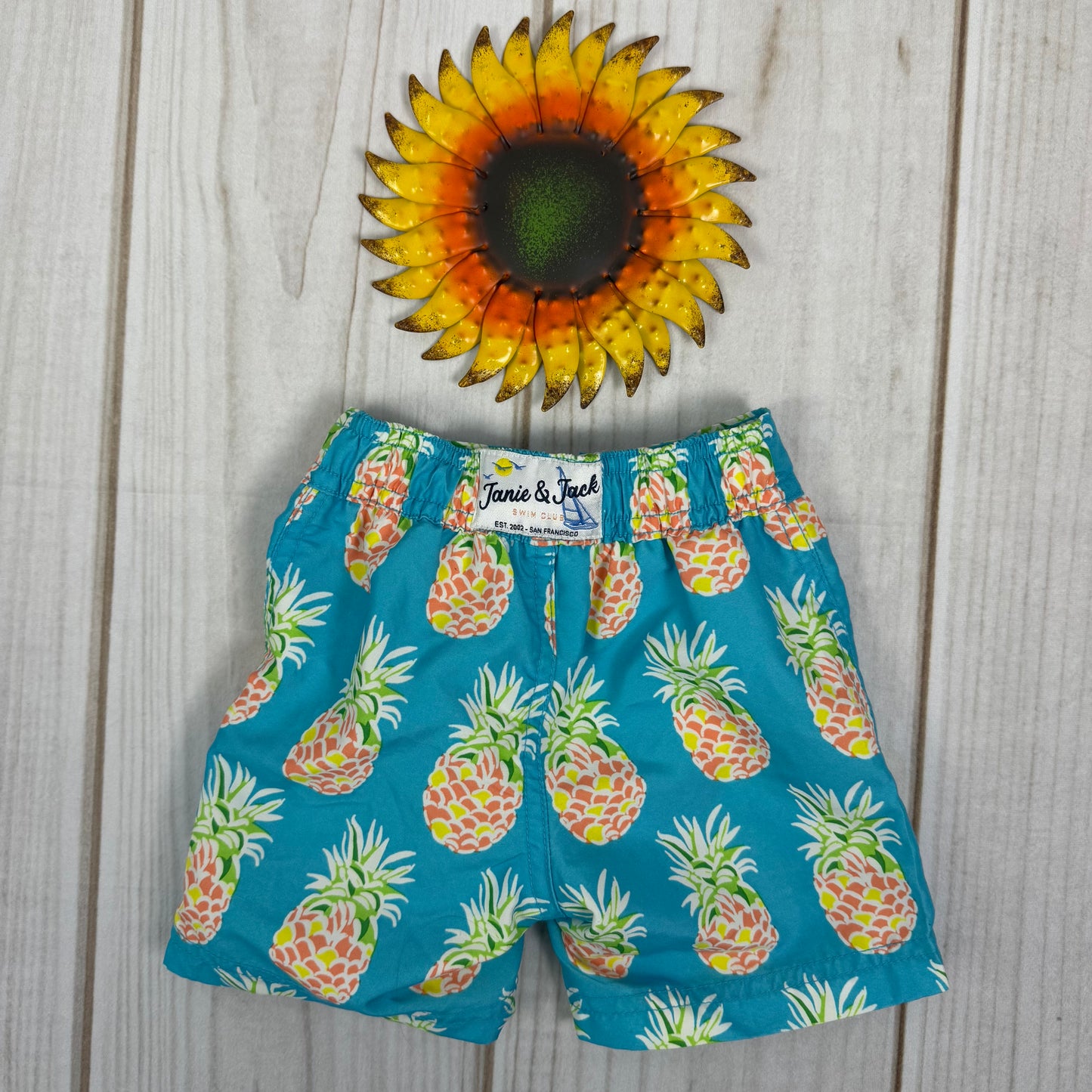 janie and jack swim trunks 2T