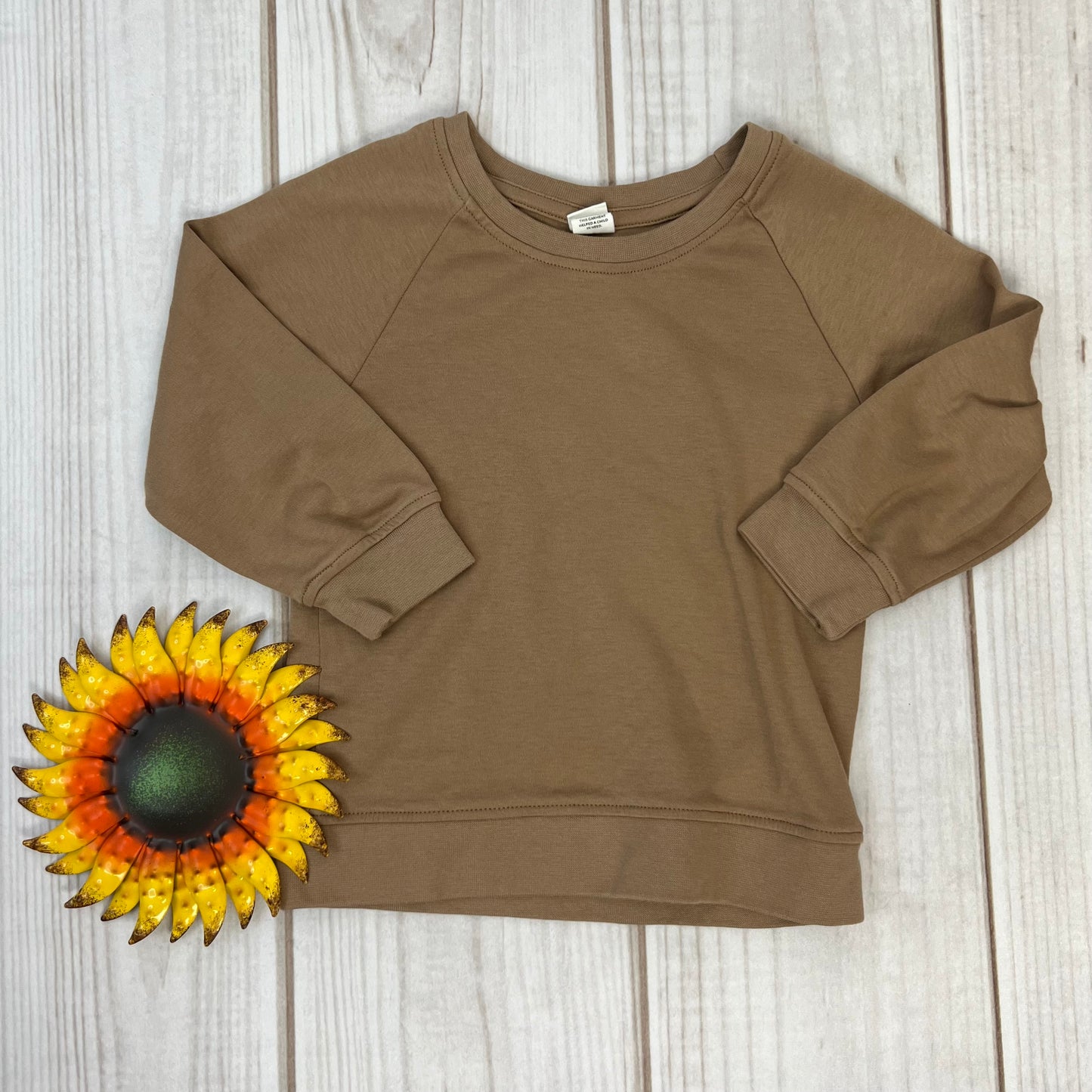 colored organics portland pullover 3T