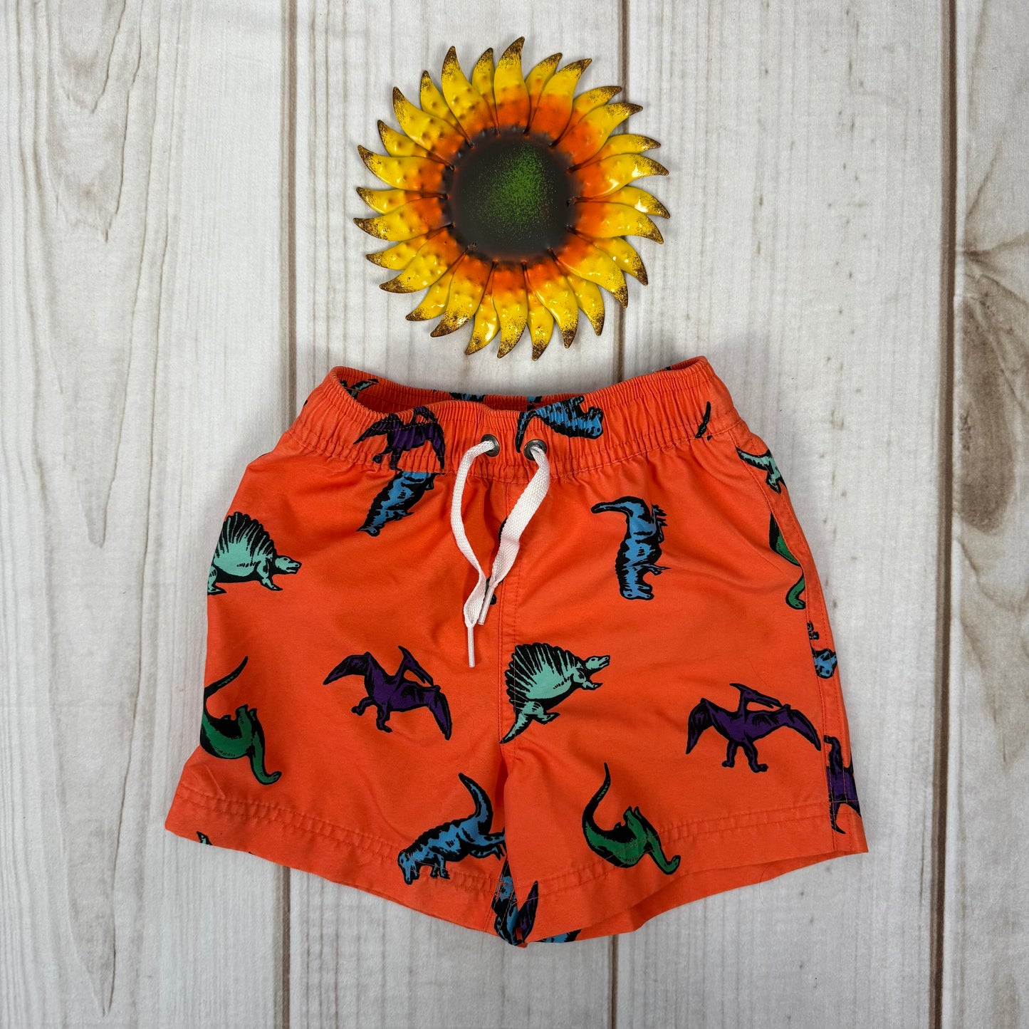 hanna andersson swim trunks 2T