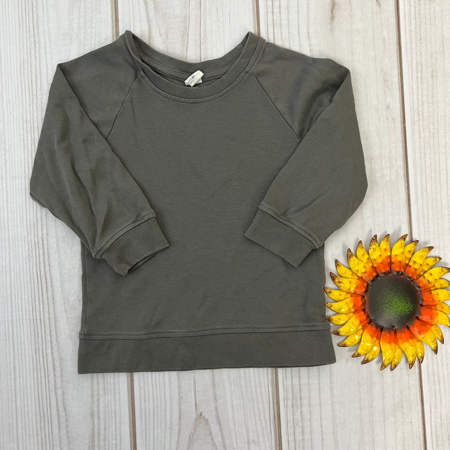 colored organics portland pullover 3T