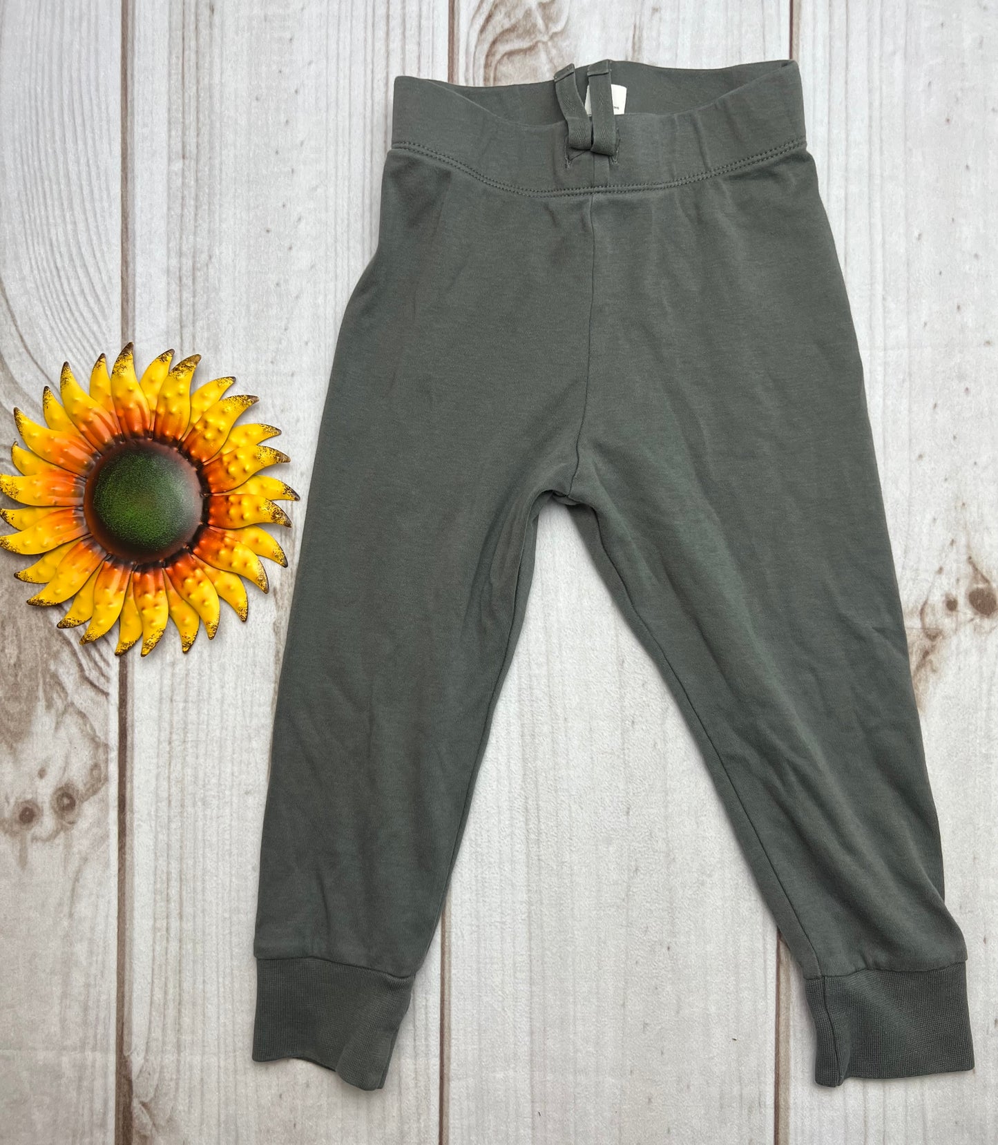 colored organics classic cruz jogger 2T