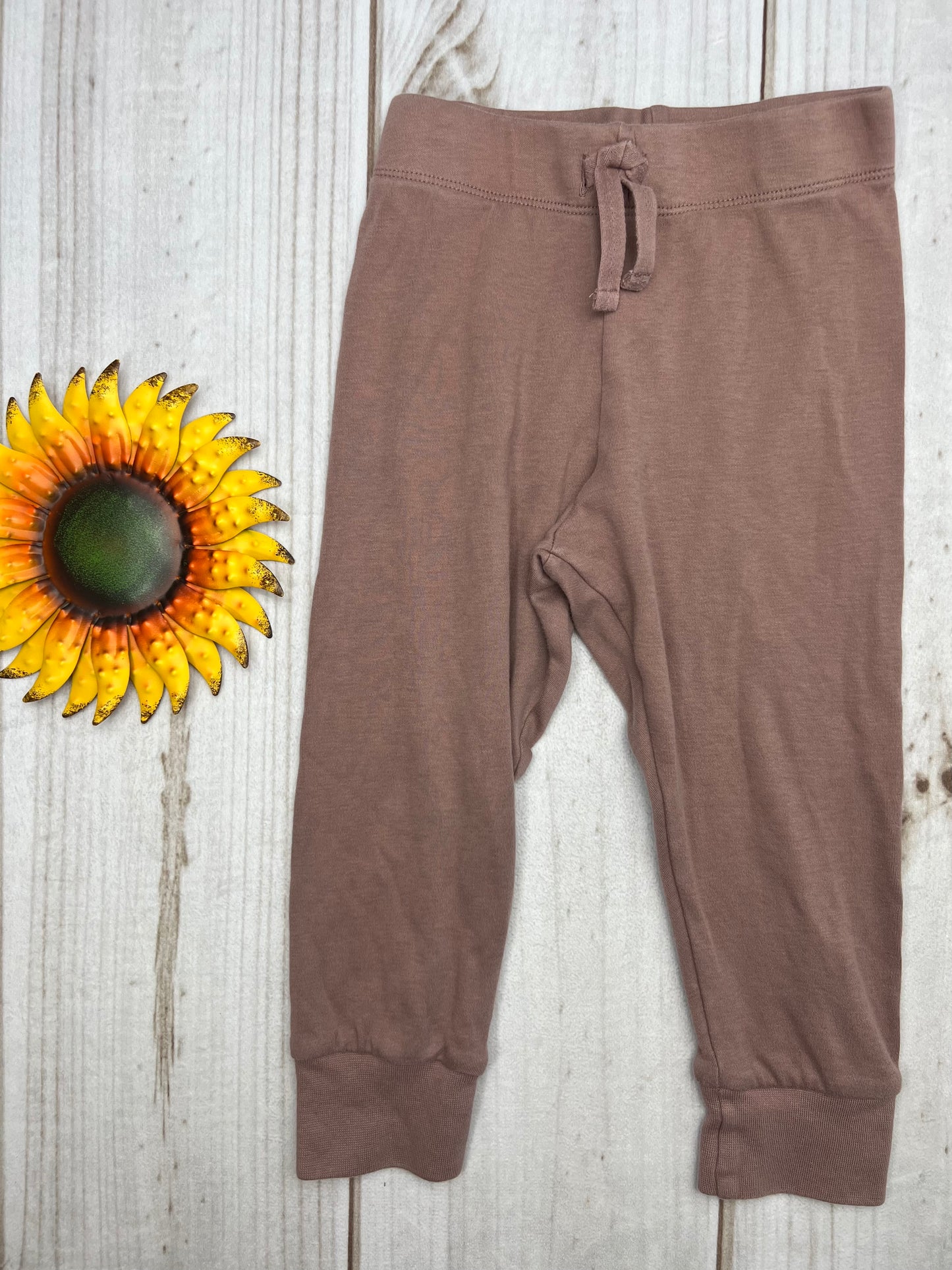 colored organics classic cruz jogger 2T