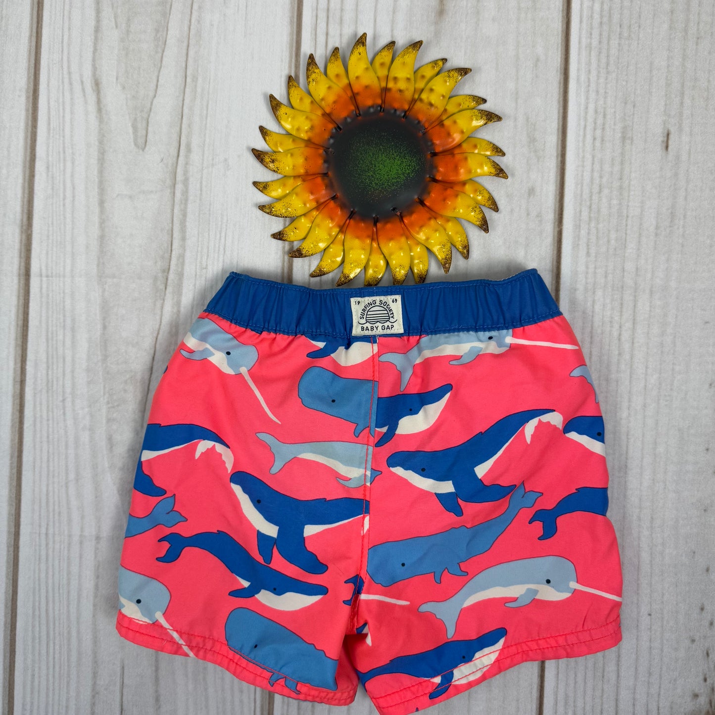 baby gap swim trunks 12-18M