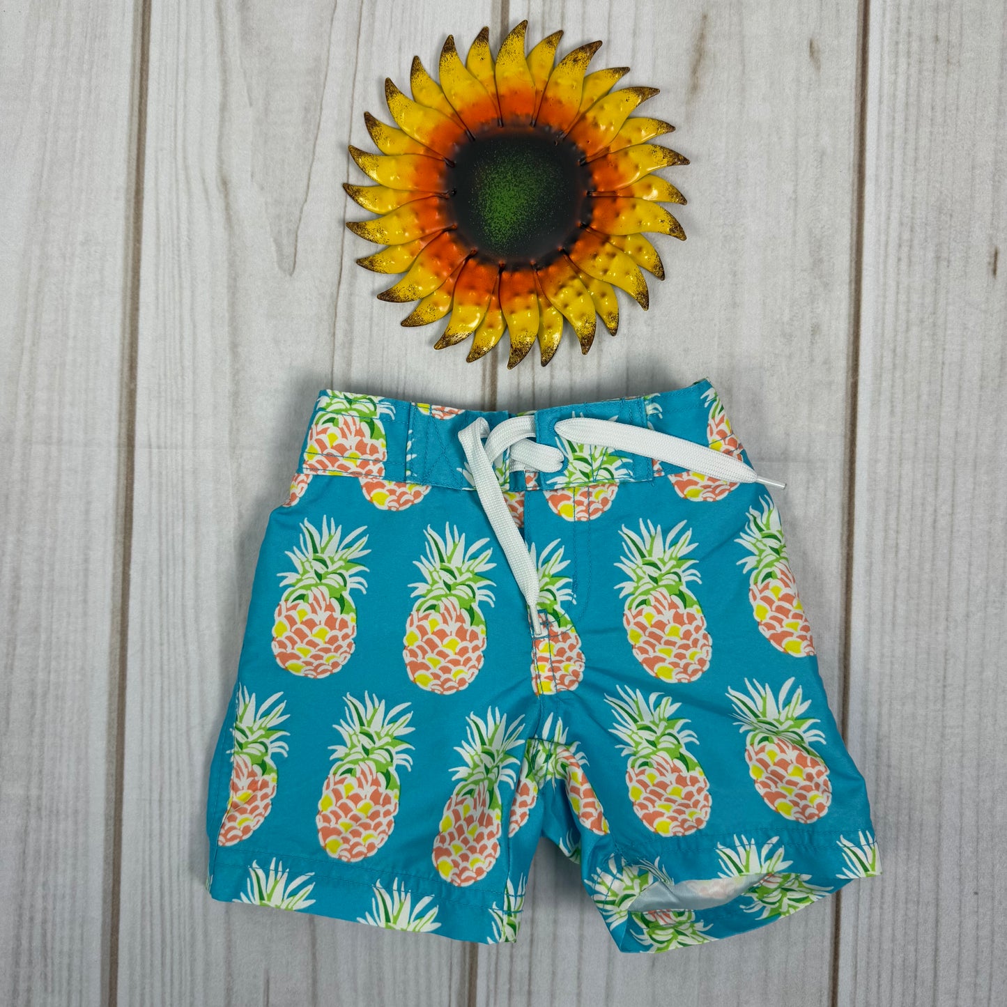 janie and jack swim trunks 2T