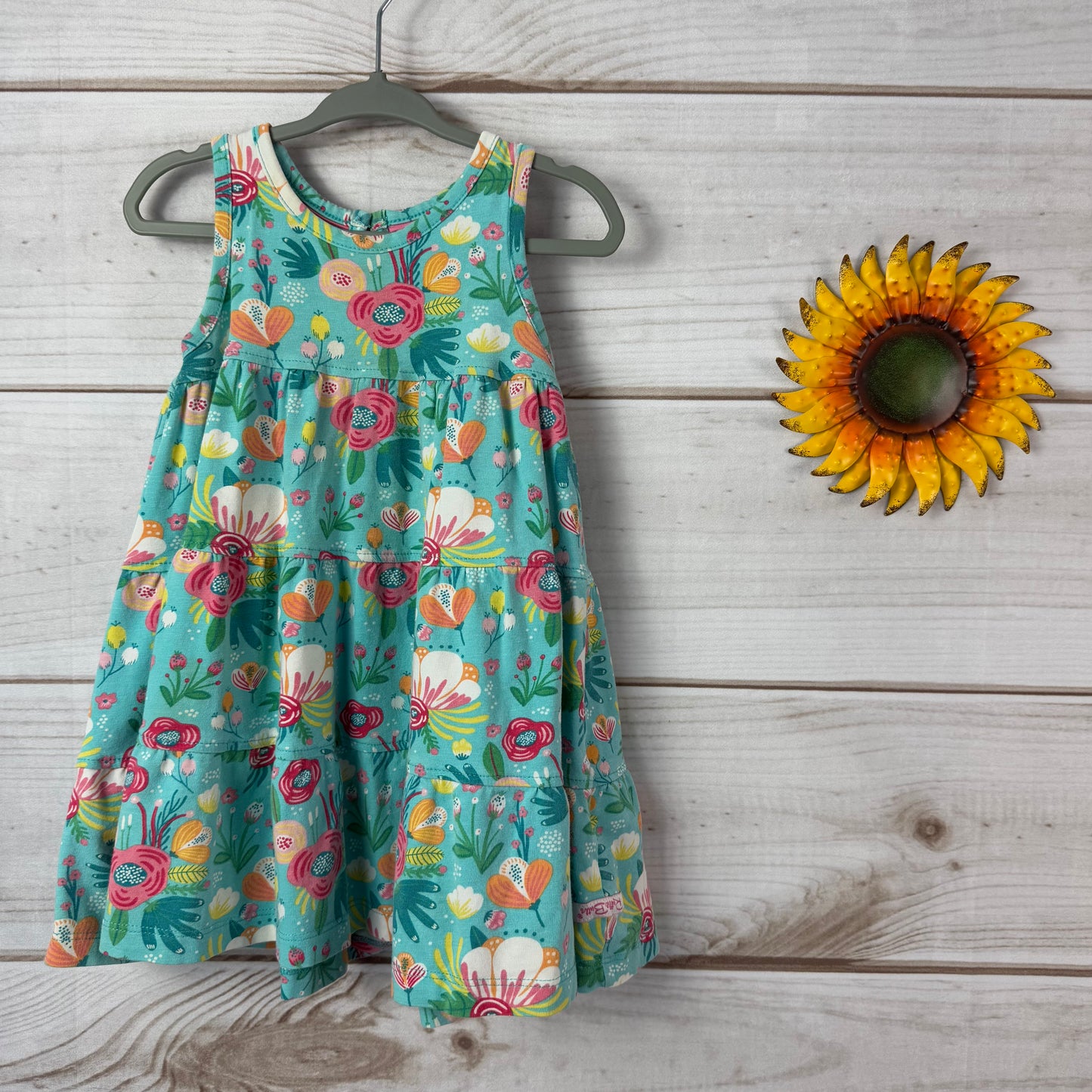 ruffle butts dress 18-24M