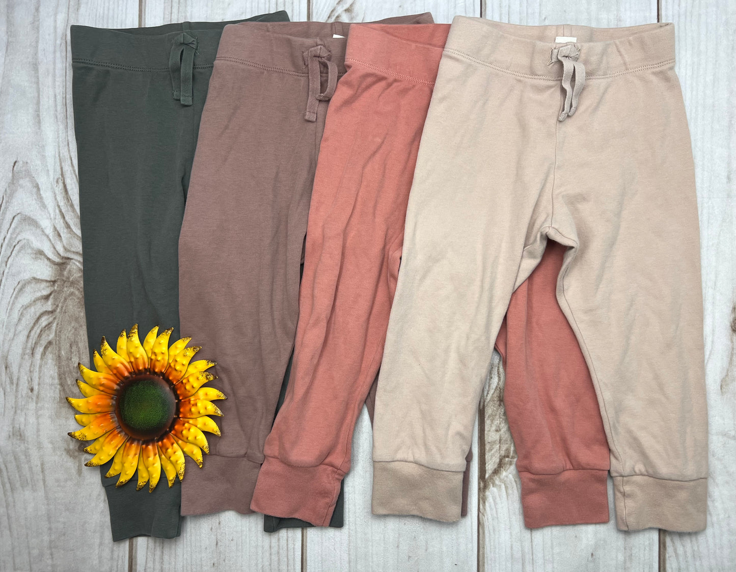 colored organics classic cruz jogger 2T