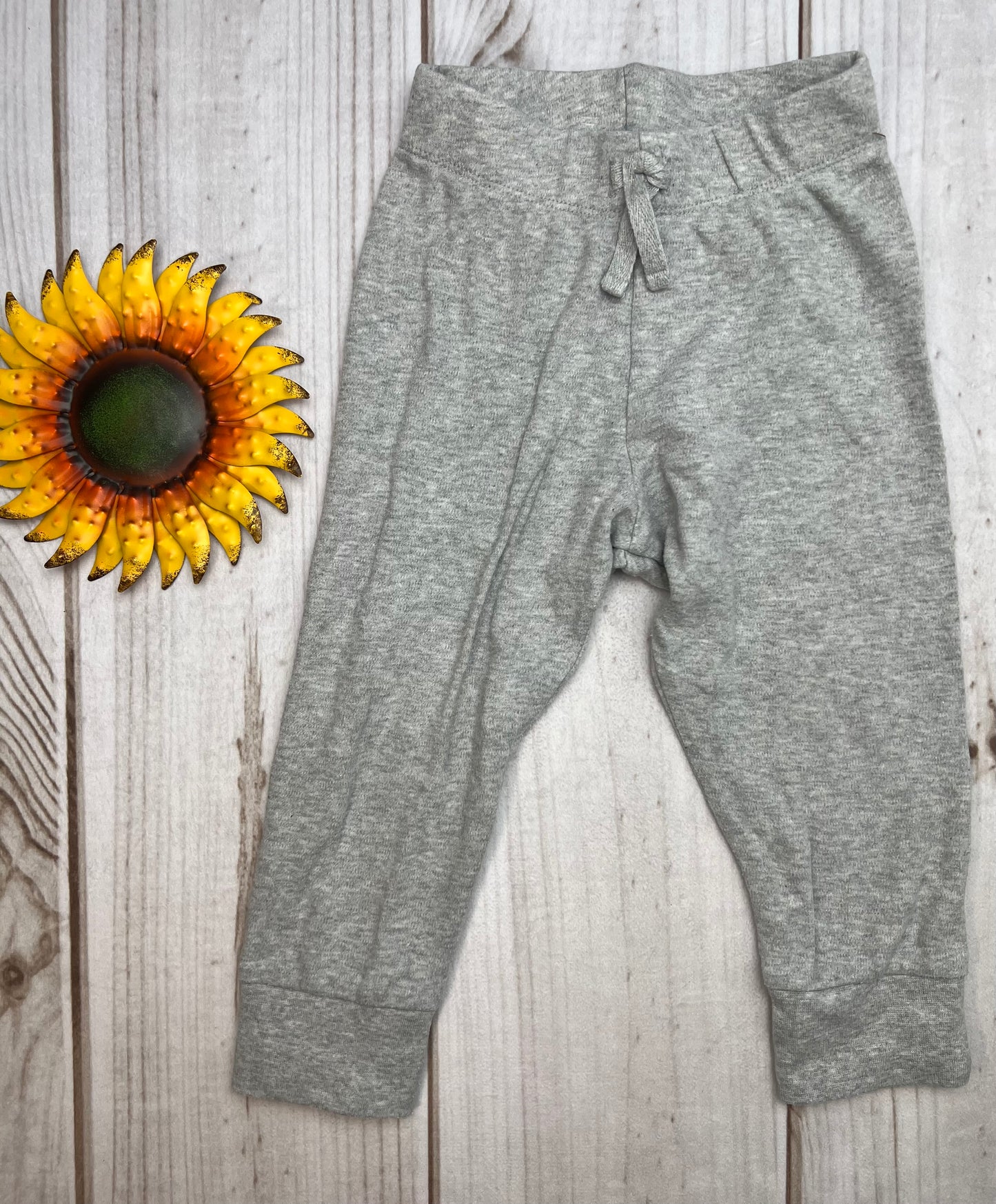 colored organics classic cruz jogger 2T