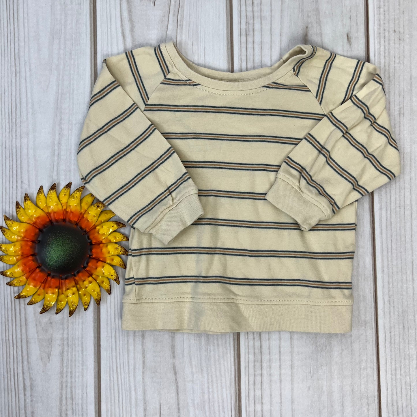 colored organics portland pullover 3T