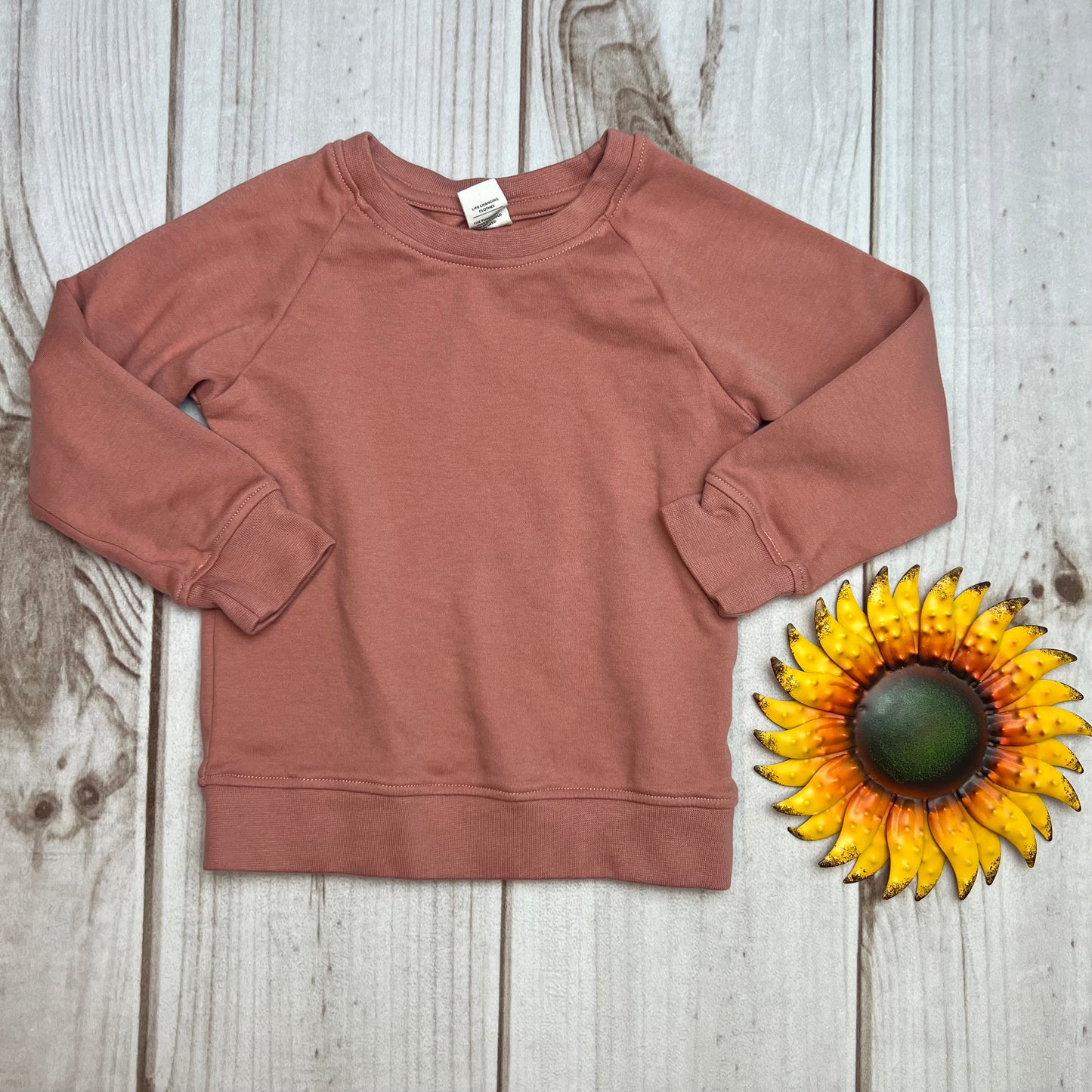 colored organics portland pullover 18-24M