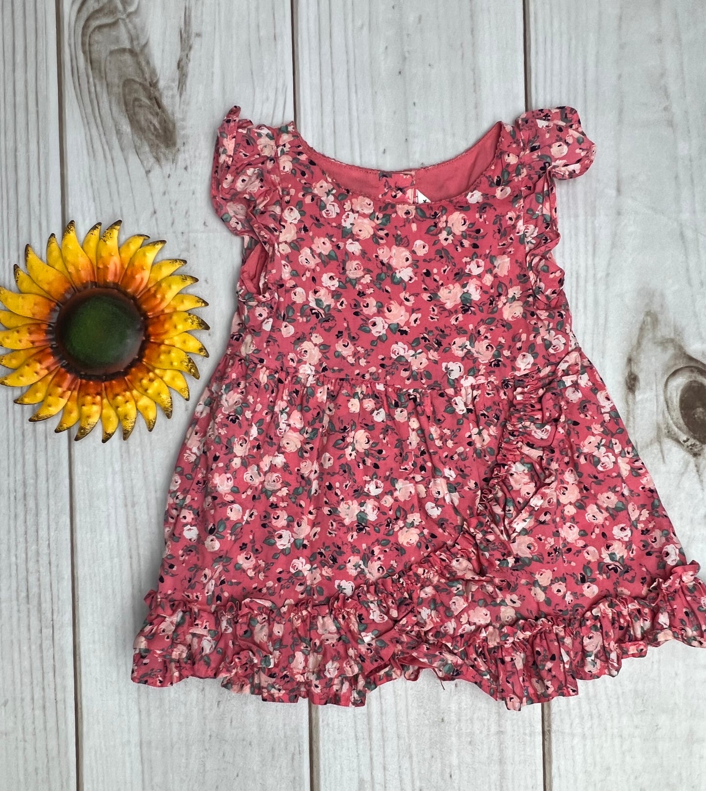 janie and jack floral dress 6-12M