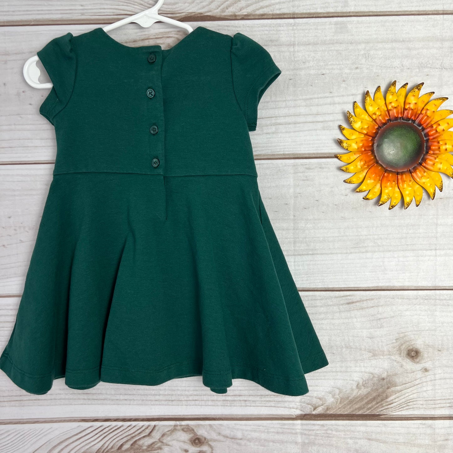 janie and jack emerald dress 6-12M