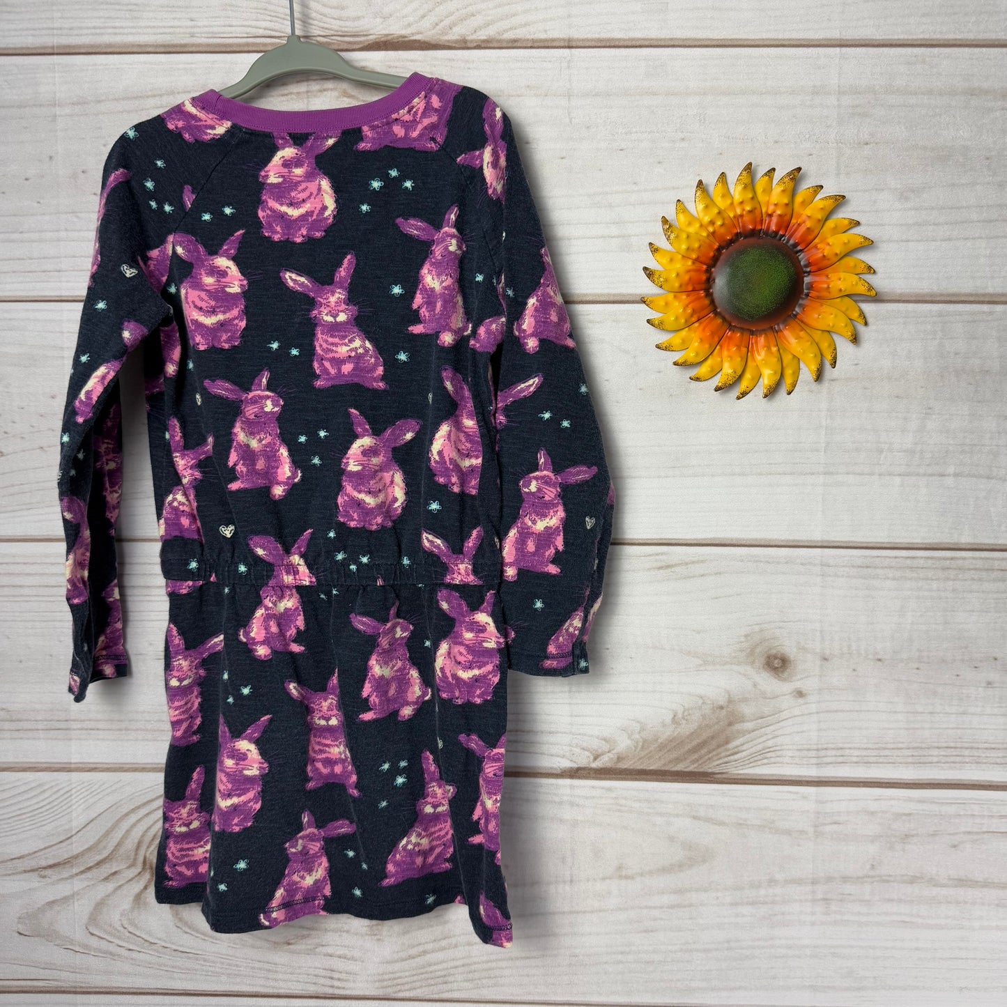 hatley long sleeve dress 5T