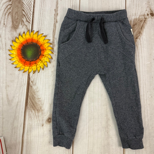 miles the label joggers 24M