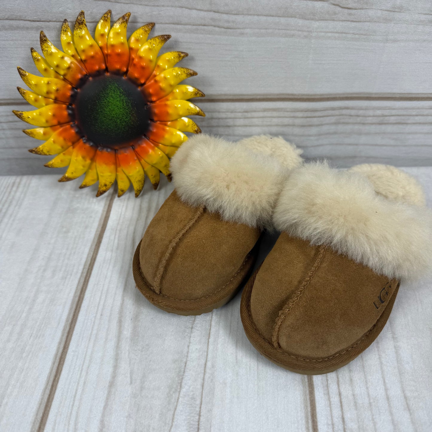 ugg cozy II slipper 10C