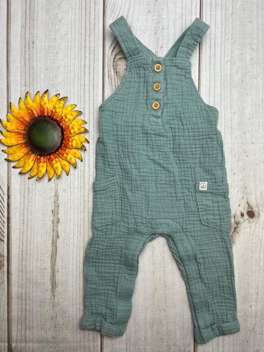 little planet overalls 9M