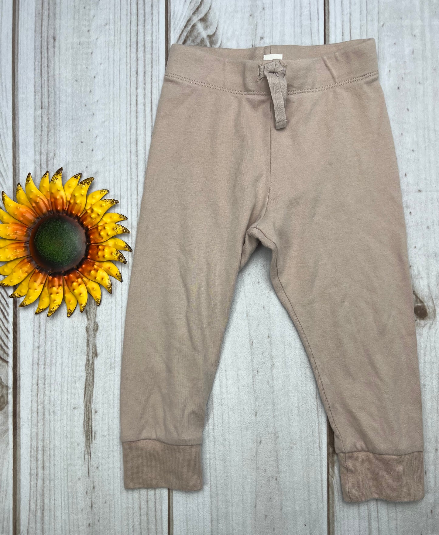 colored organics classic cruz jogger 2T