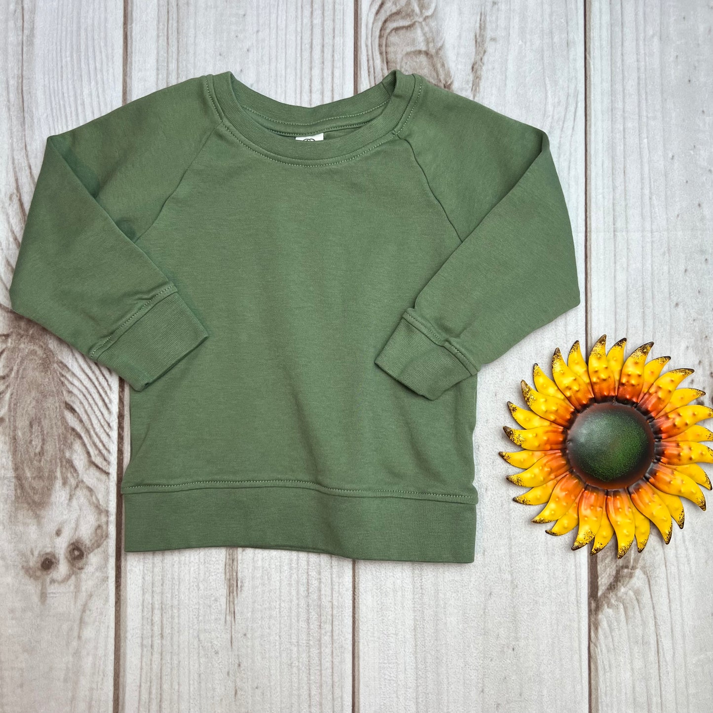 colored organics portland pullover 18-24M