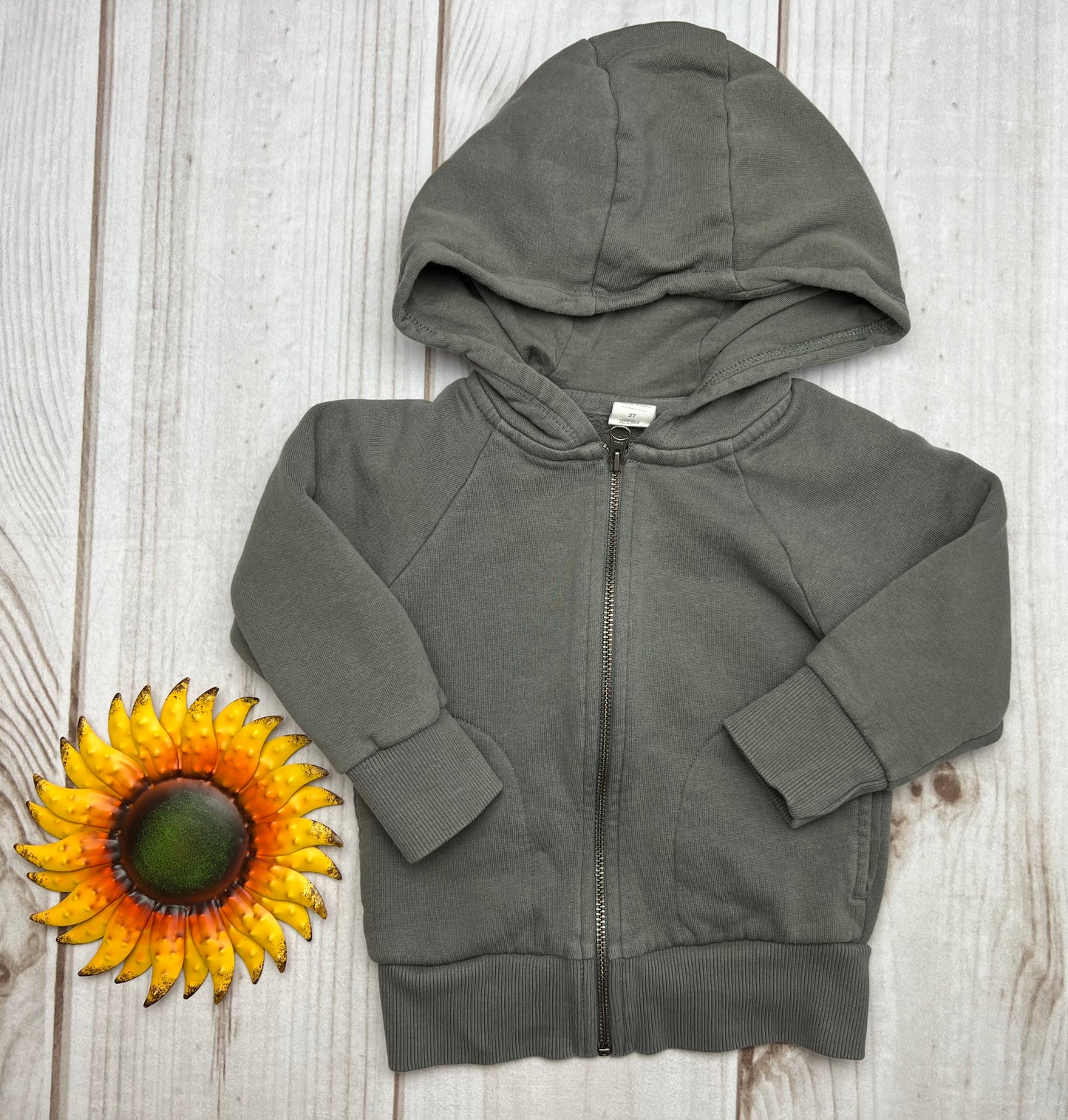 colored organics max zip hoodie