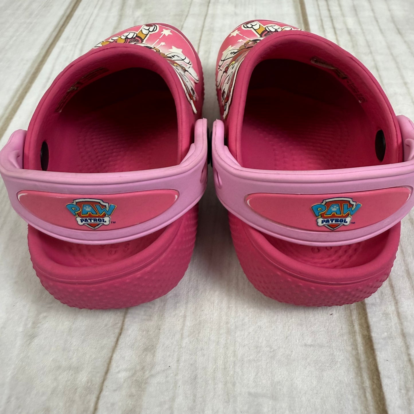 skye paw patrol crocs 5C