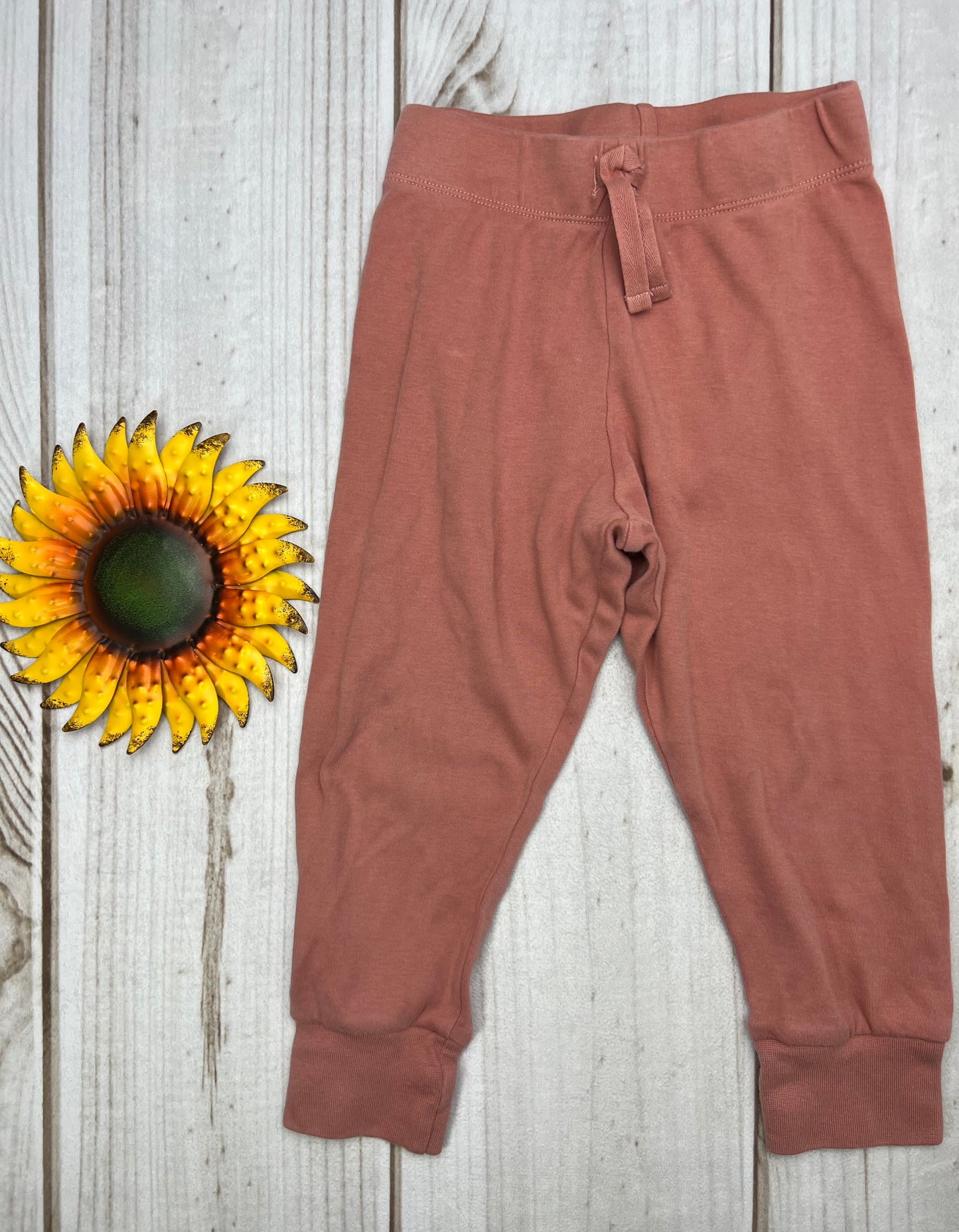 colored organics classic cruz jogger 2T