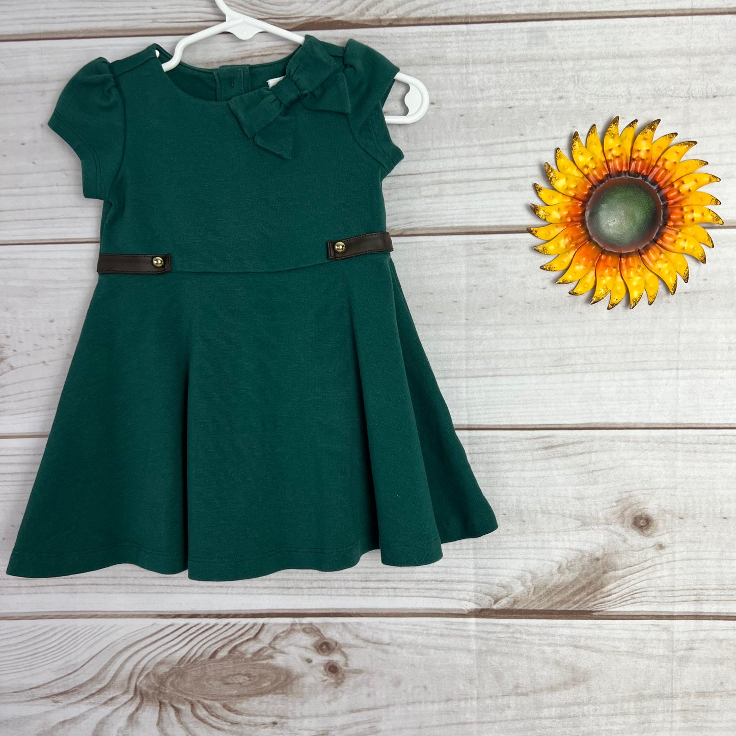 janie and jack emerald dress 6-12M