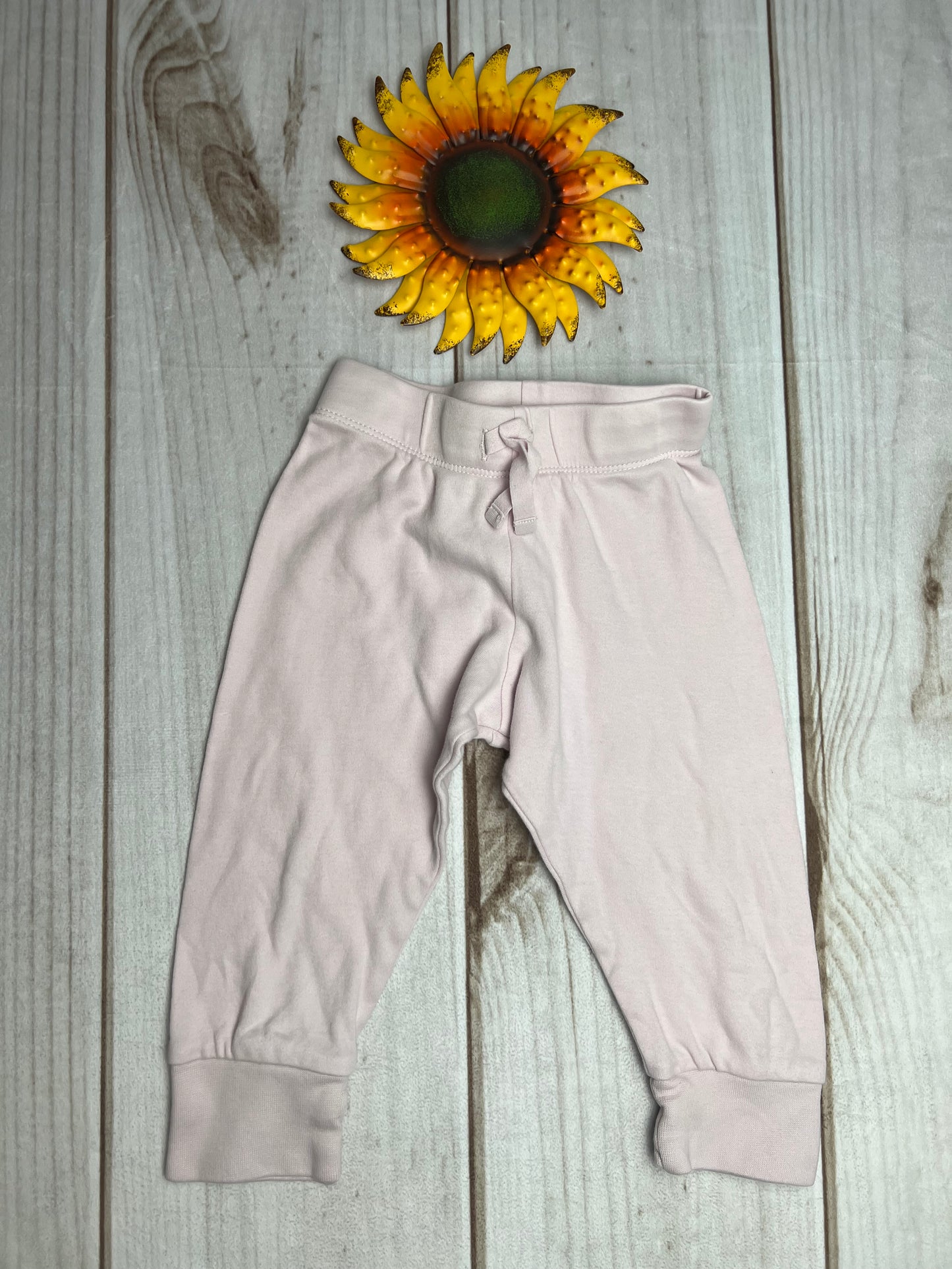 colored organics classic cruz jogger 12-18M