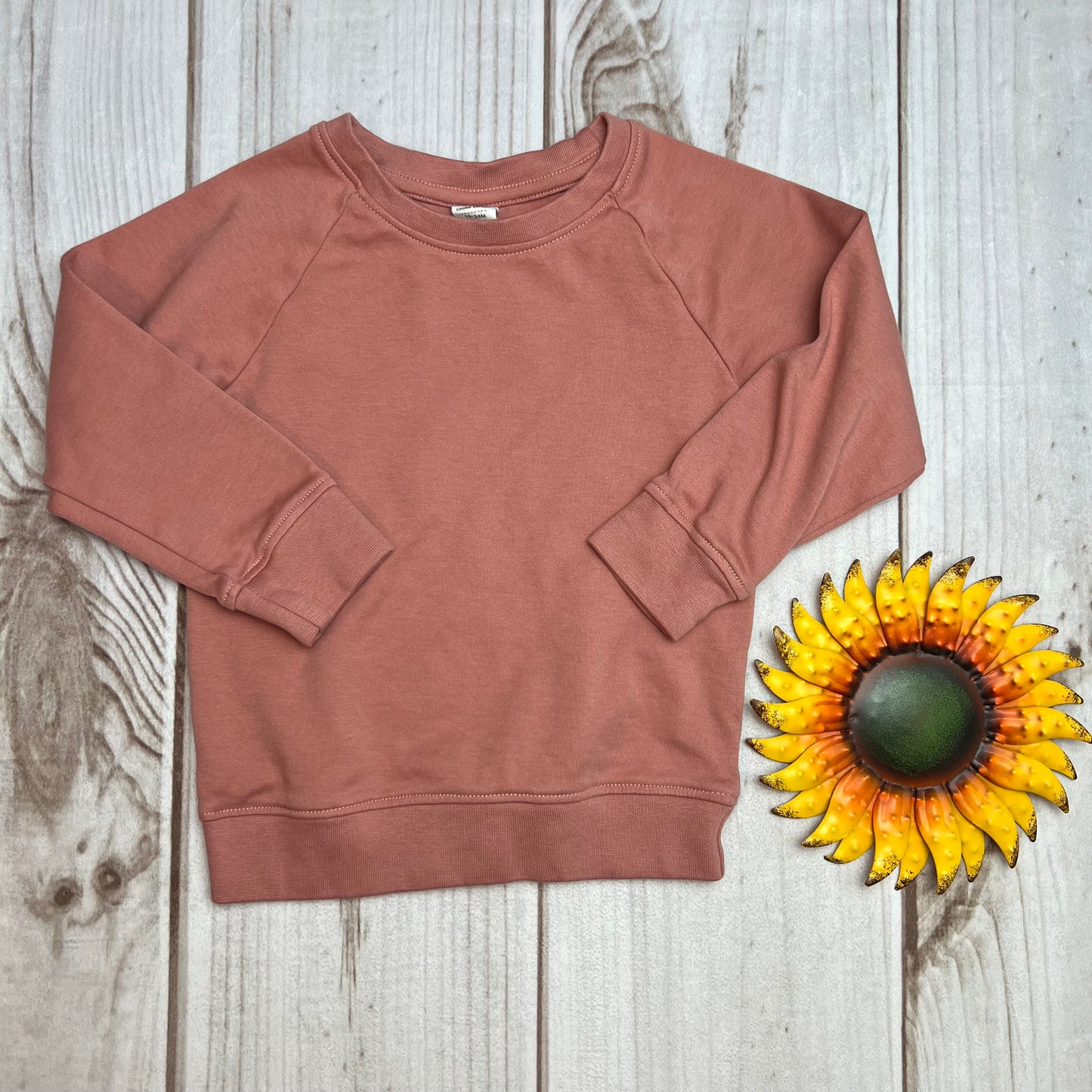 colored organics portland pullover 18-24M