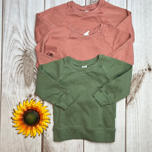 colored organics portland pullover 18-24M