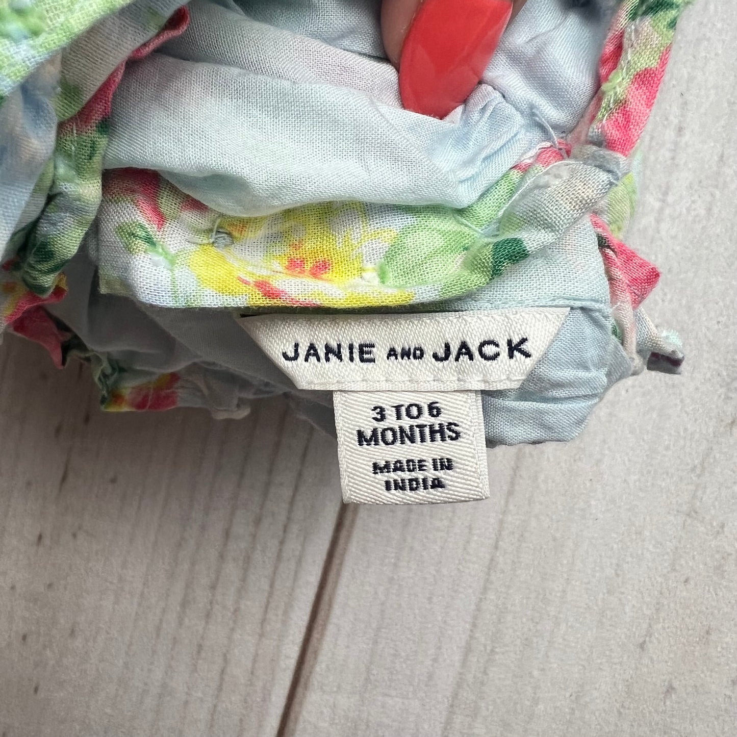 janie and jack floral dress 3-6M