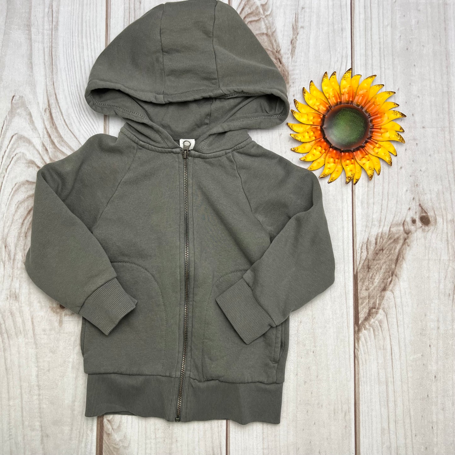 colored organics max zip hoodie