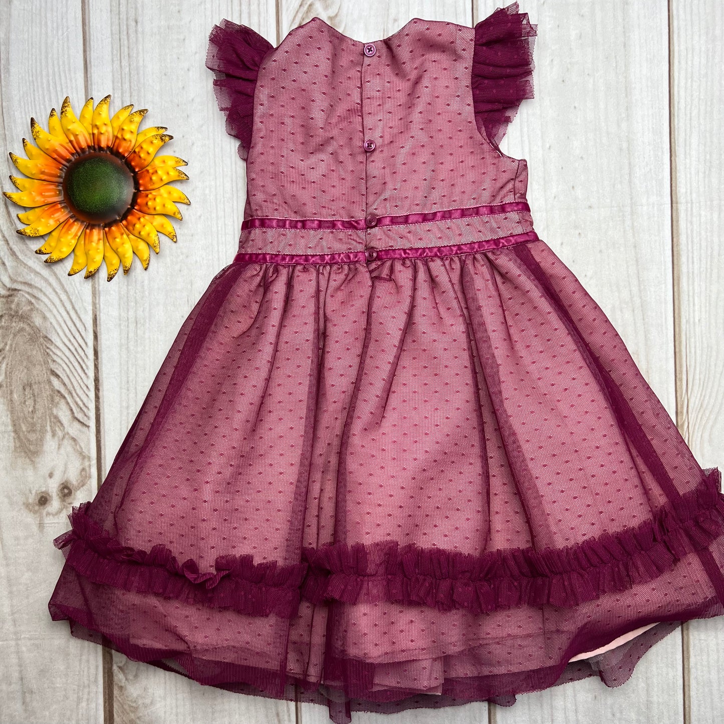 janie and jack ruffle dot tulle dress 2T