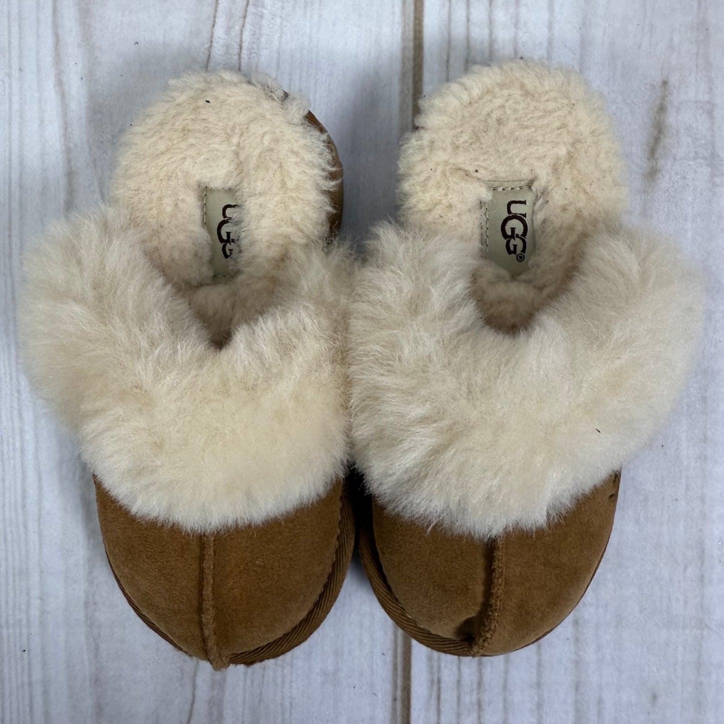 ugg cozy II slipper 10C