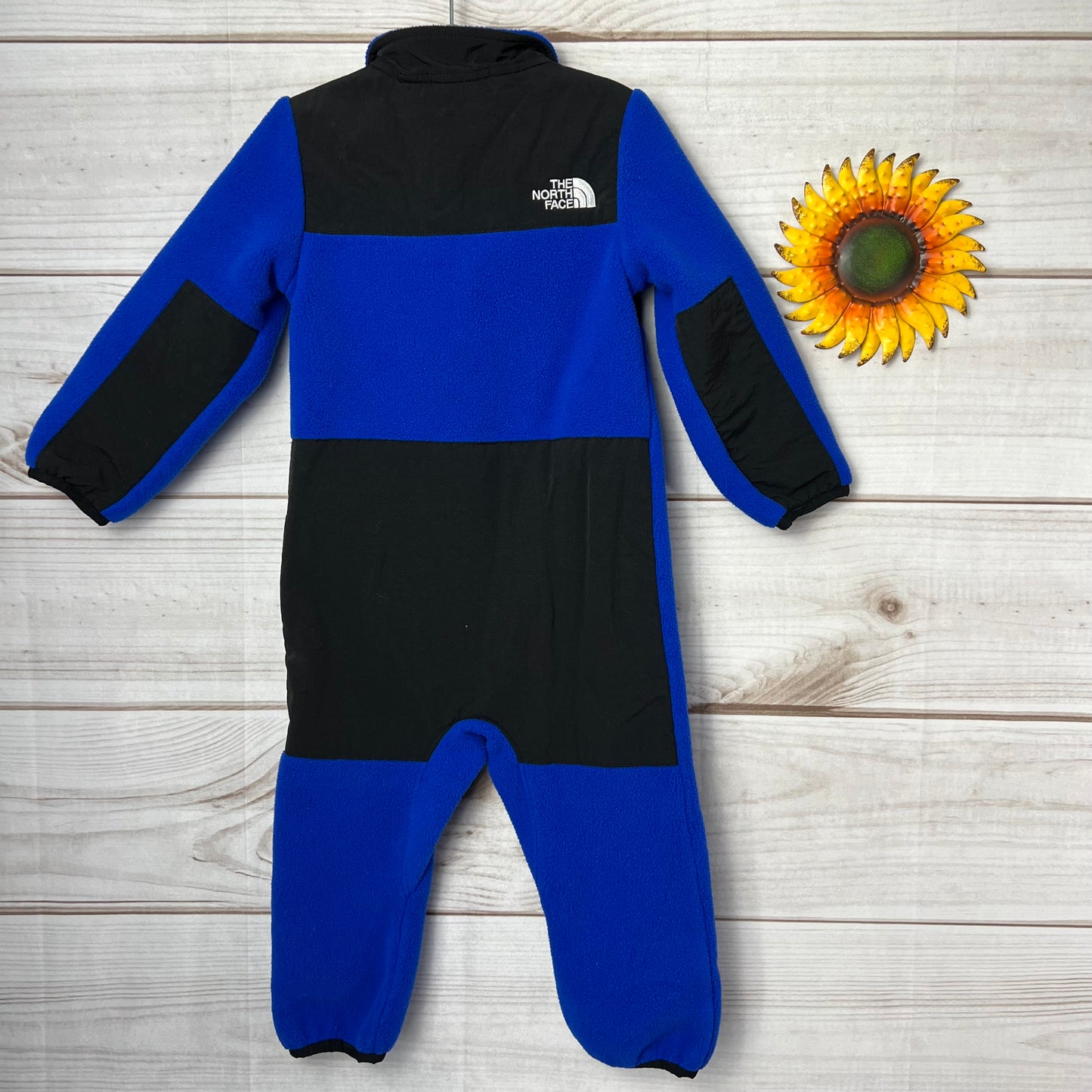 the north face denali one piece 18-24M