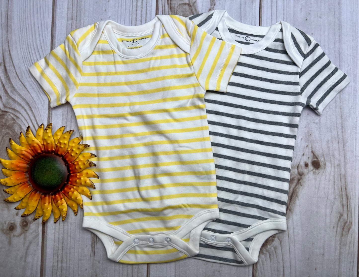 colored organics short sleeve bodysuits 3-6M