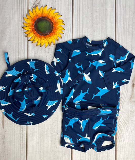 hanna andersson swim set 3-6M