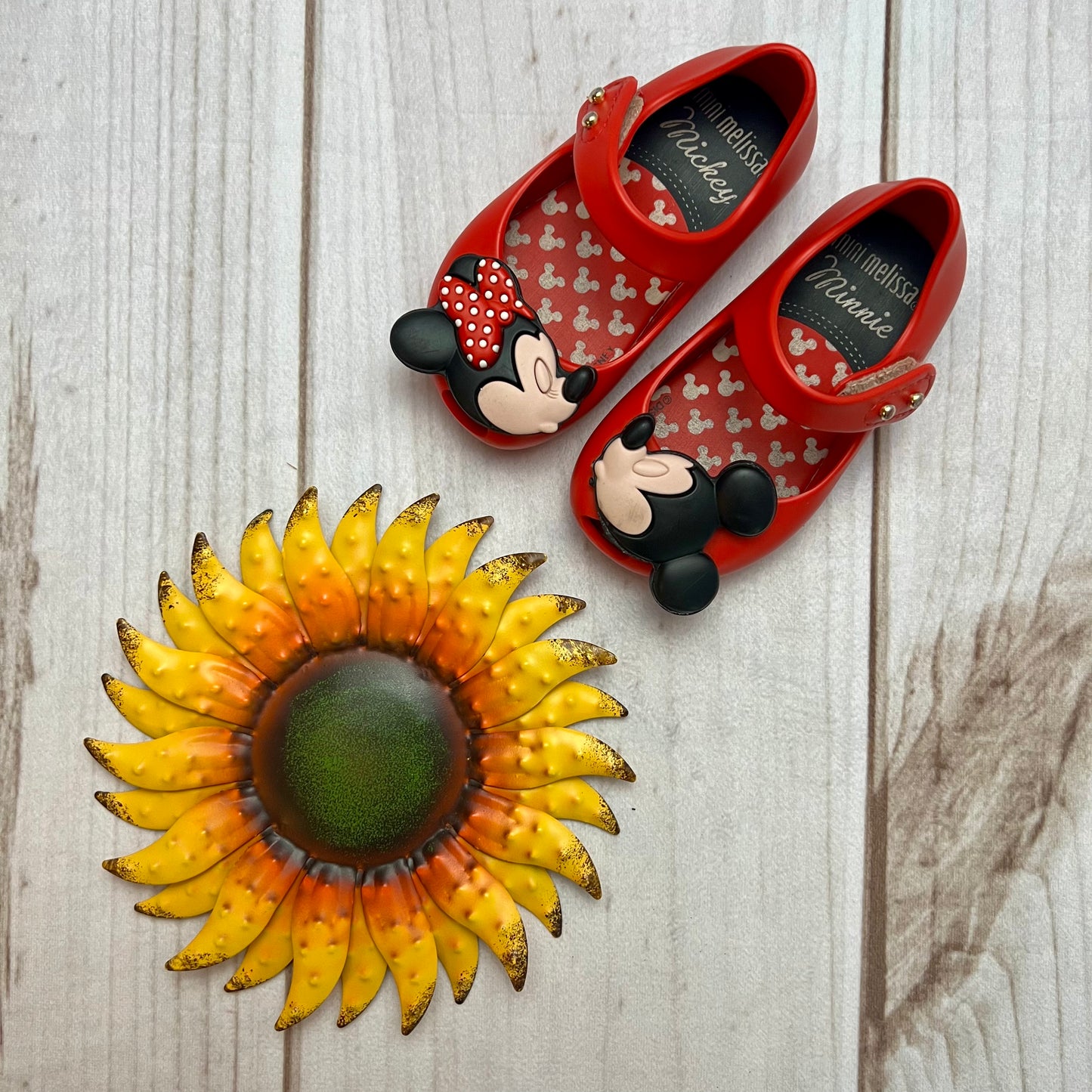 mini melissa mickey & minnie 5C