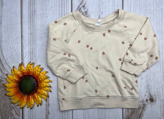 colored organics portland pullover 2T