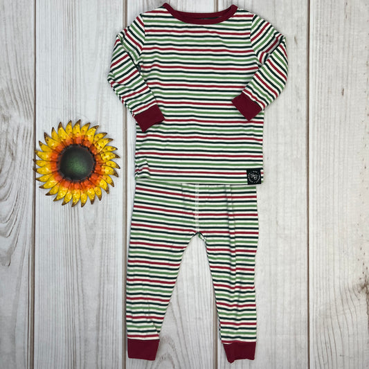 sweet bamboo two piece pajamas 12-18M