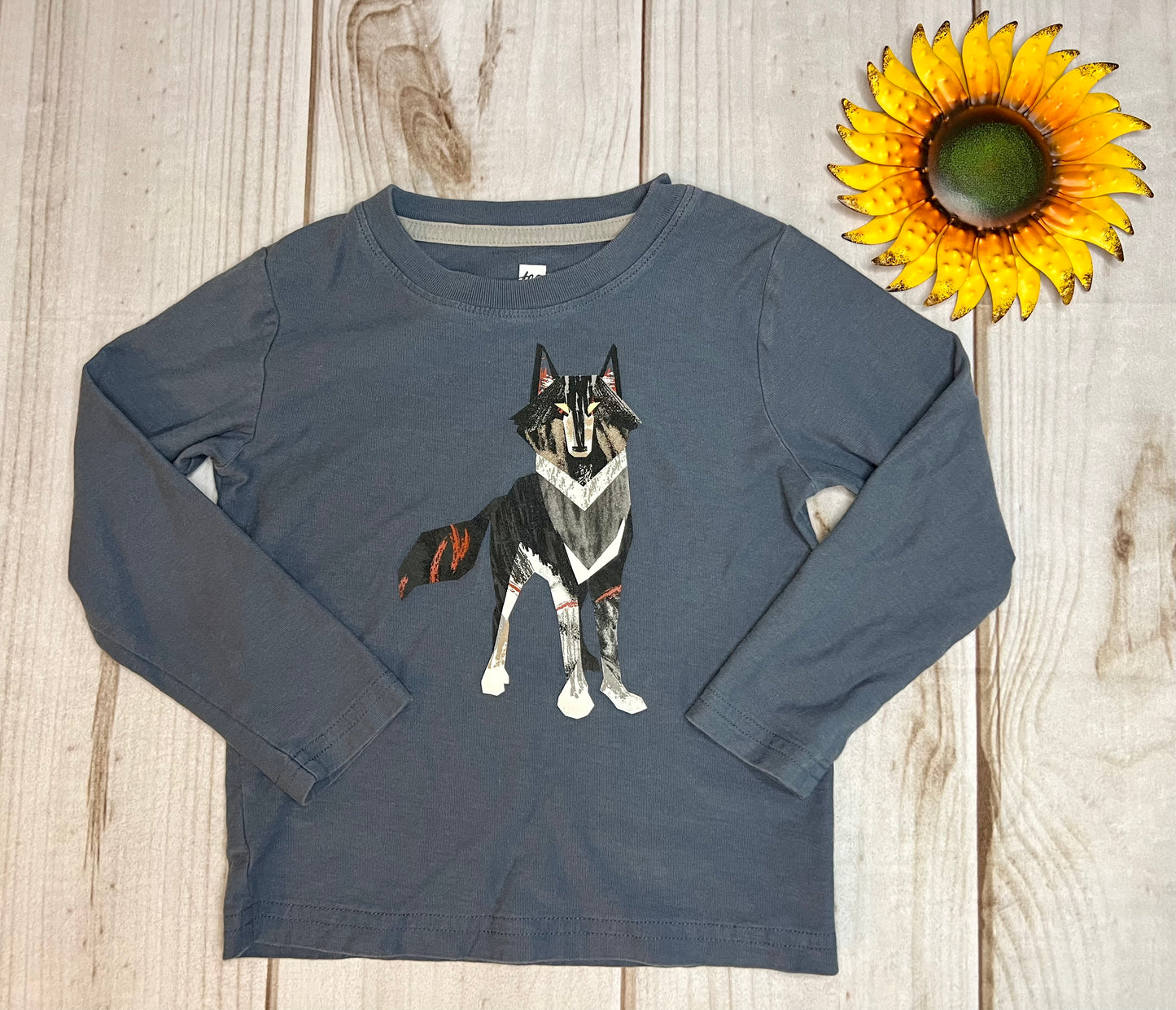 tea collection long sleeve graphic tee 3T - The Sunflower Baby Shop